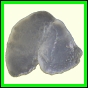 cypvar_2269_b_002
