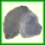 cypvar_2270_a_001
