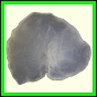 cypvar_2271_b_001