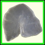 cypvar_2276_b_002