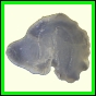 cypvar_2281_a_001