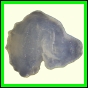 cypvar_2281_b_002