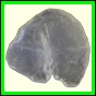cypvar_2284_a_001