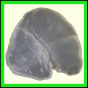 cypvar_2284_b_002