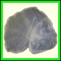 cypvar_2285_b_002