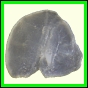 cypvar_2286_a_001