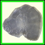 cypvar_2286_b_003