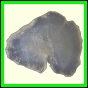 cypvar_2287_a_001