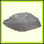 dipfor_1833_a_001