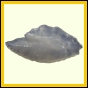 dipfor_1865_b_001
