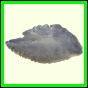 dipfor_2202_a_001