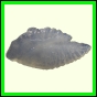 dipfor_2202_b_001