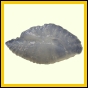 dipfor_2203_a_001