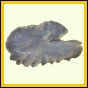 dorpet_196_b_001