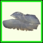dorpet_2278_a_001