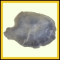 erosma_171_b_002