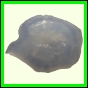 erosma_2317_a_011