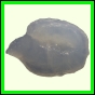erosma_2362_b_001