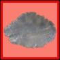 euchar_386_a_003