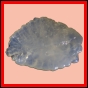 euchar_387_a_003