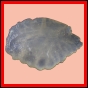 euchar_388_a_002