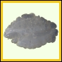 euchar_389_b_003