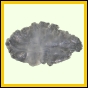 eucmel_771_a_002