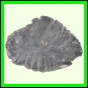 eucmel_773_b_002