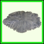 eucmel_778_a_003