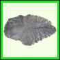 eucmel_778_b_002