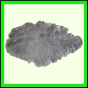 eucmel_779_a_002