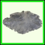 eucmel_779_b_005