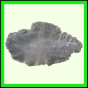 eucmel_781_a_002