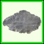 eucmel_782_a_002