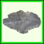 eucmel_782_b_002