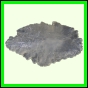 eucmel_783_a_002
