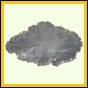 eucmel_783_b_002