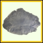 eucmel_922_a_003