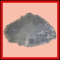 eucmel_923_a_002
