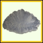 eucmel_924_a_003