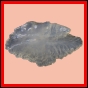 eucspp_1323_a_001