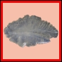 eucspp_1323_b_002