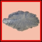 eucspp_1324_b_001