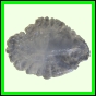 eucspp_1325_a_001