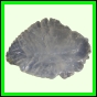 eucspp_1325_b_002