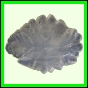 eucspp_1326_a_001