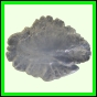 eucspp_1326_b_002