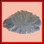 eucspp_1327_a_001