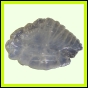 eucspp_1328_a_002