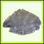 eucspp_1328_b_002